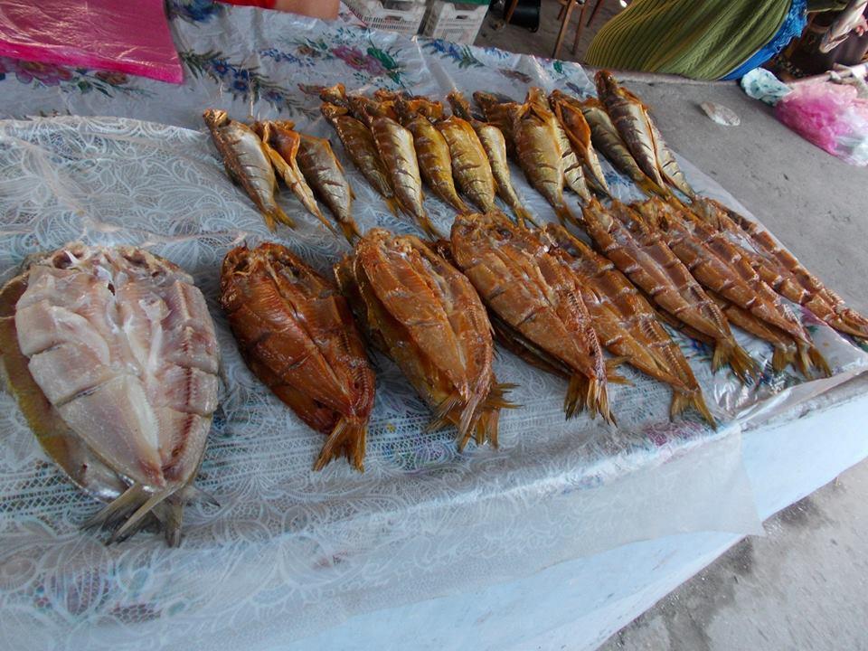 yamy - 10692104429184524816981766771926n.jpg